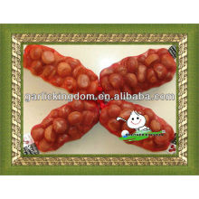 chestnut from shandong China